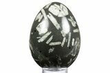 Polished Chinese Writing Rock Egg - California #334171-1